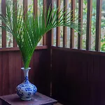 Puri Mango Guest House Sanur